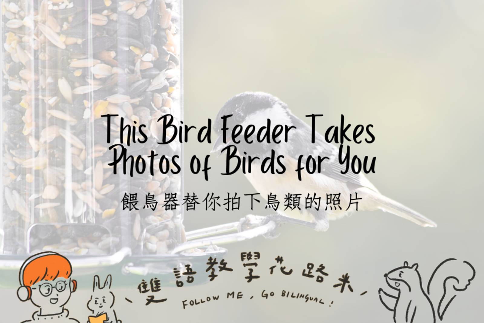 This Bird Feeder Takes Photos of Birds for You餵鳥器替你拍下鳥類的照片