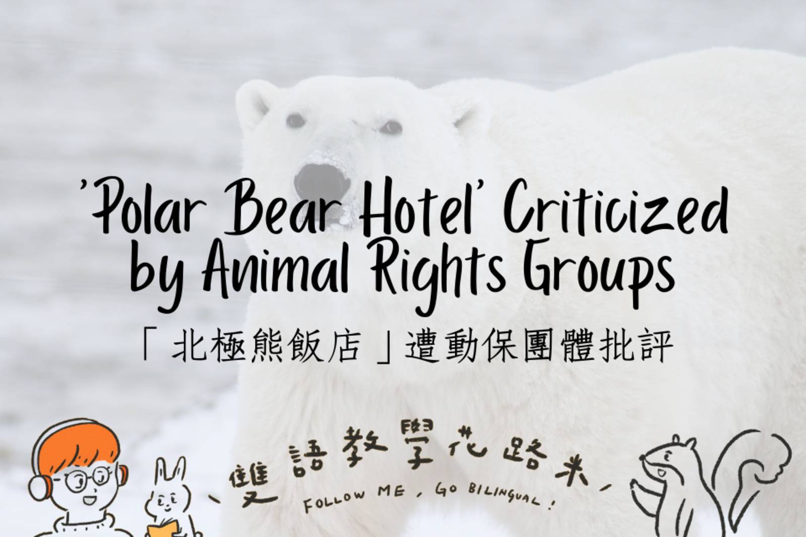 'Polar Bear Hotel' Criticized by Animal Rights Groups「北極熊飯店」遭動保團體批評