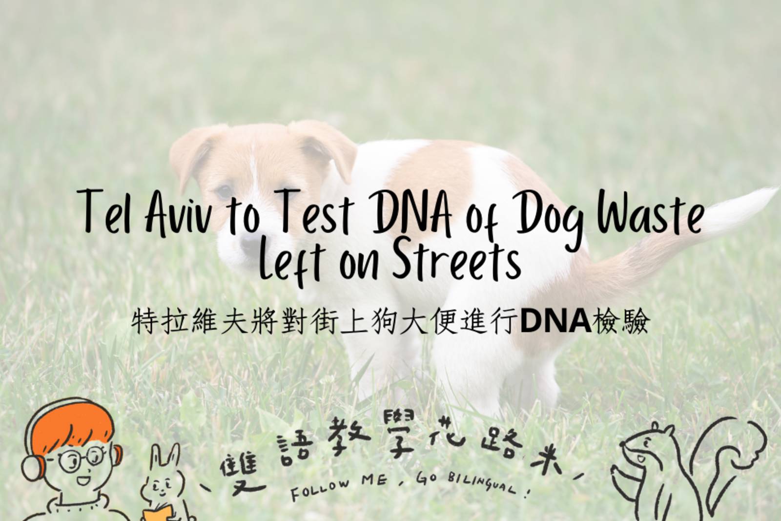 Tel Aviv to Test DNA of Dog Waste Left on Streets 特拉維夫將對街上狗大便進行DNA檢驗