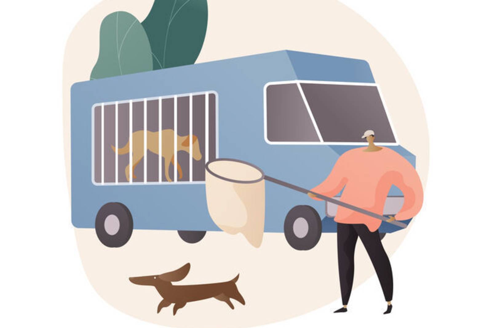 我和我家附近的流浪狗