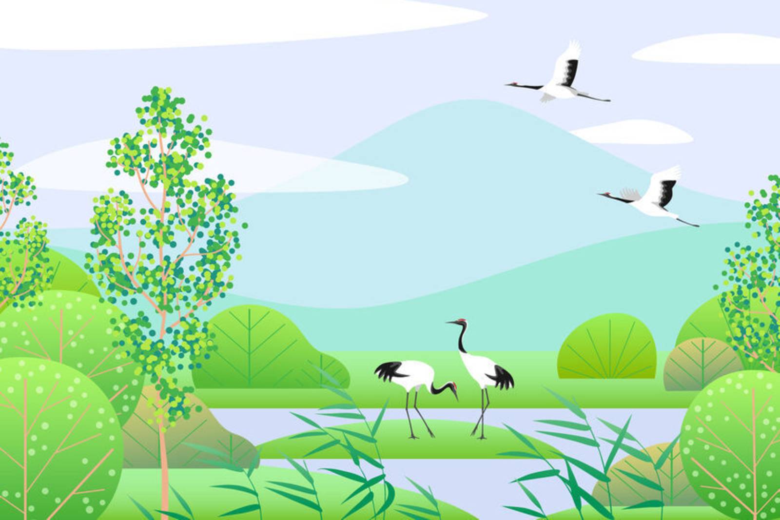 濕地生態來尋寶