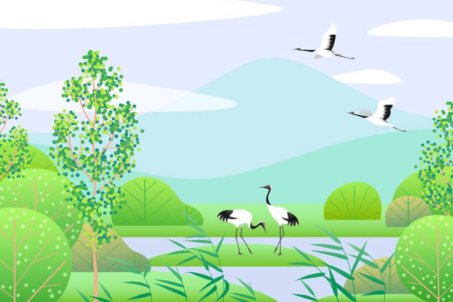 濕地生態來尋寶