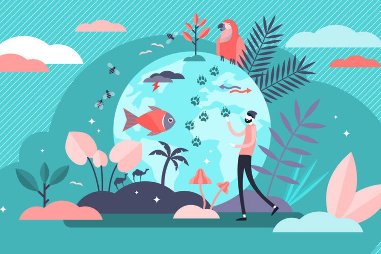 海洋生物的多樣性