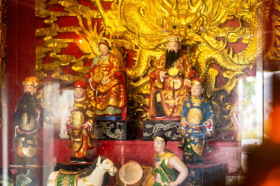 看不見的花園-海洋浮游動植物