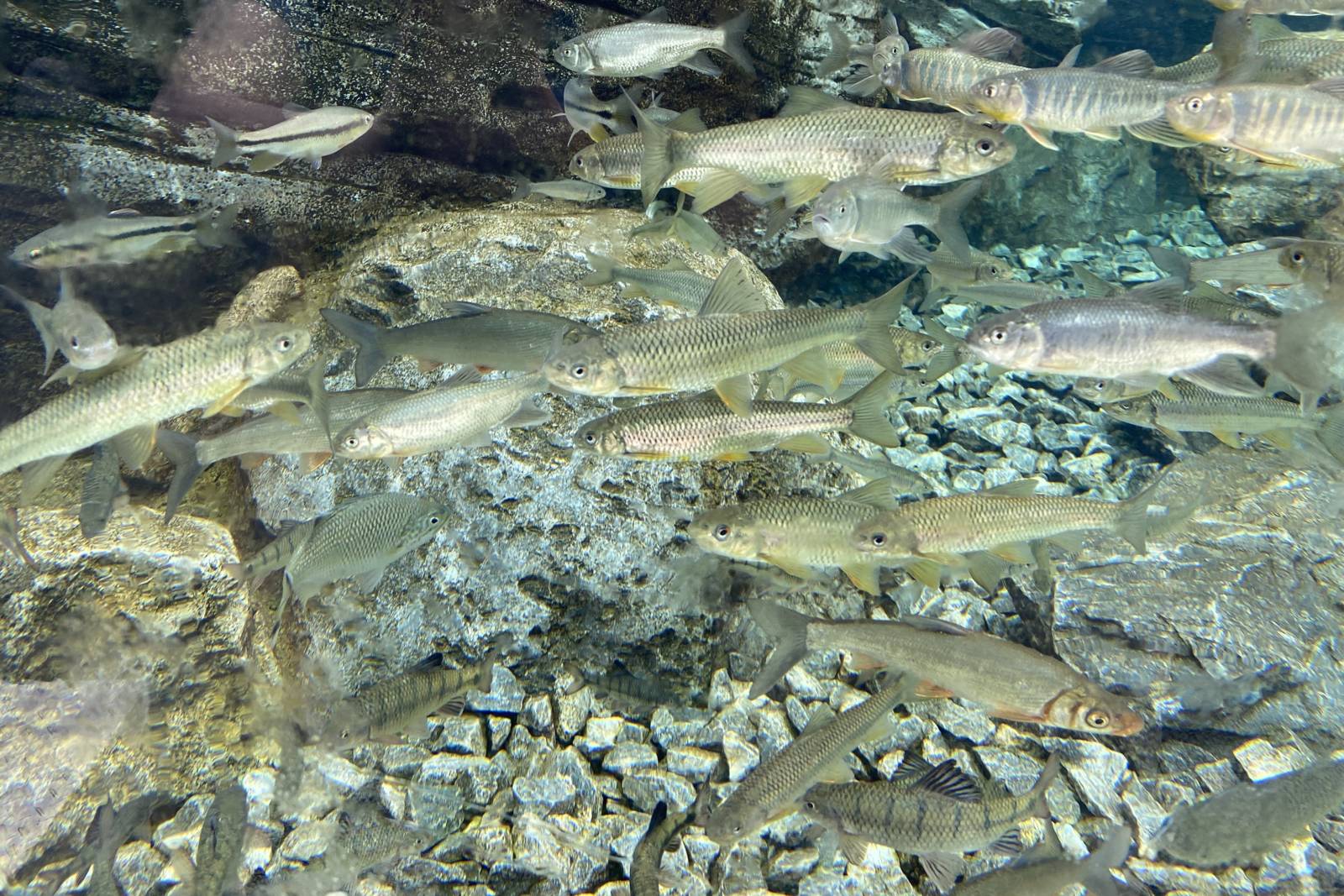 人類向大海爭地？