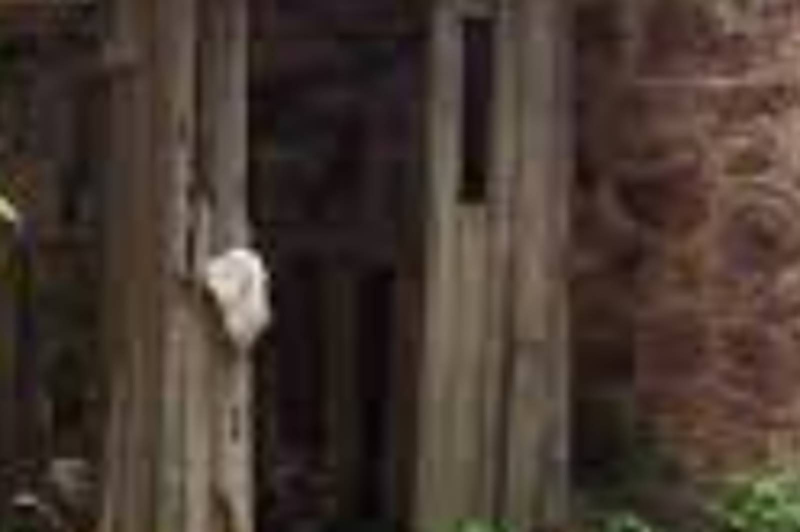 古人上廁所太艱辛