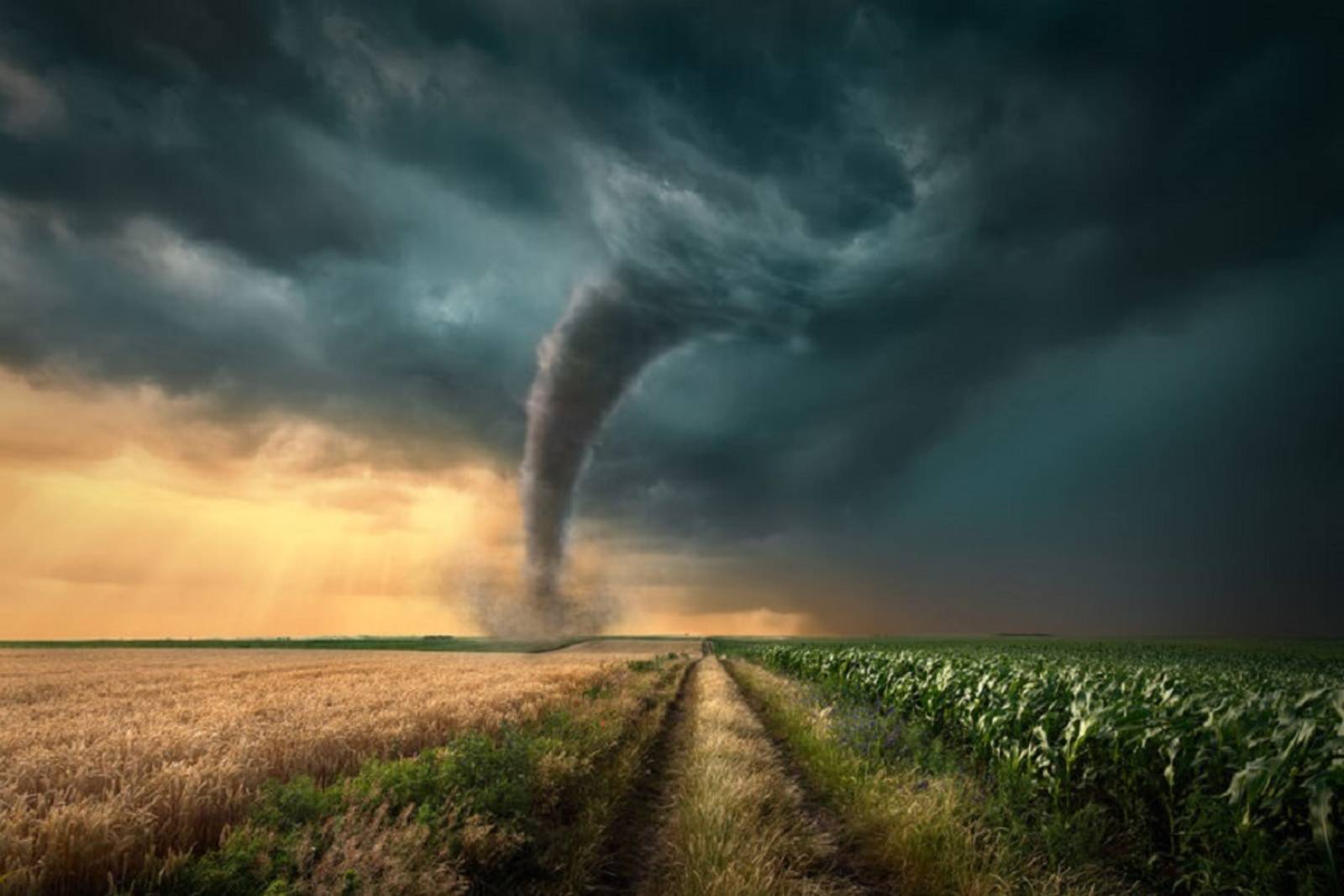 追龍捲風的人-瑞德提莫