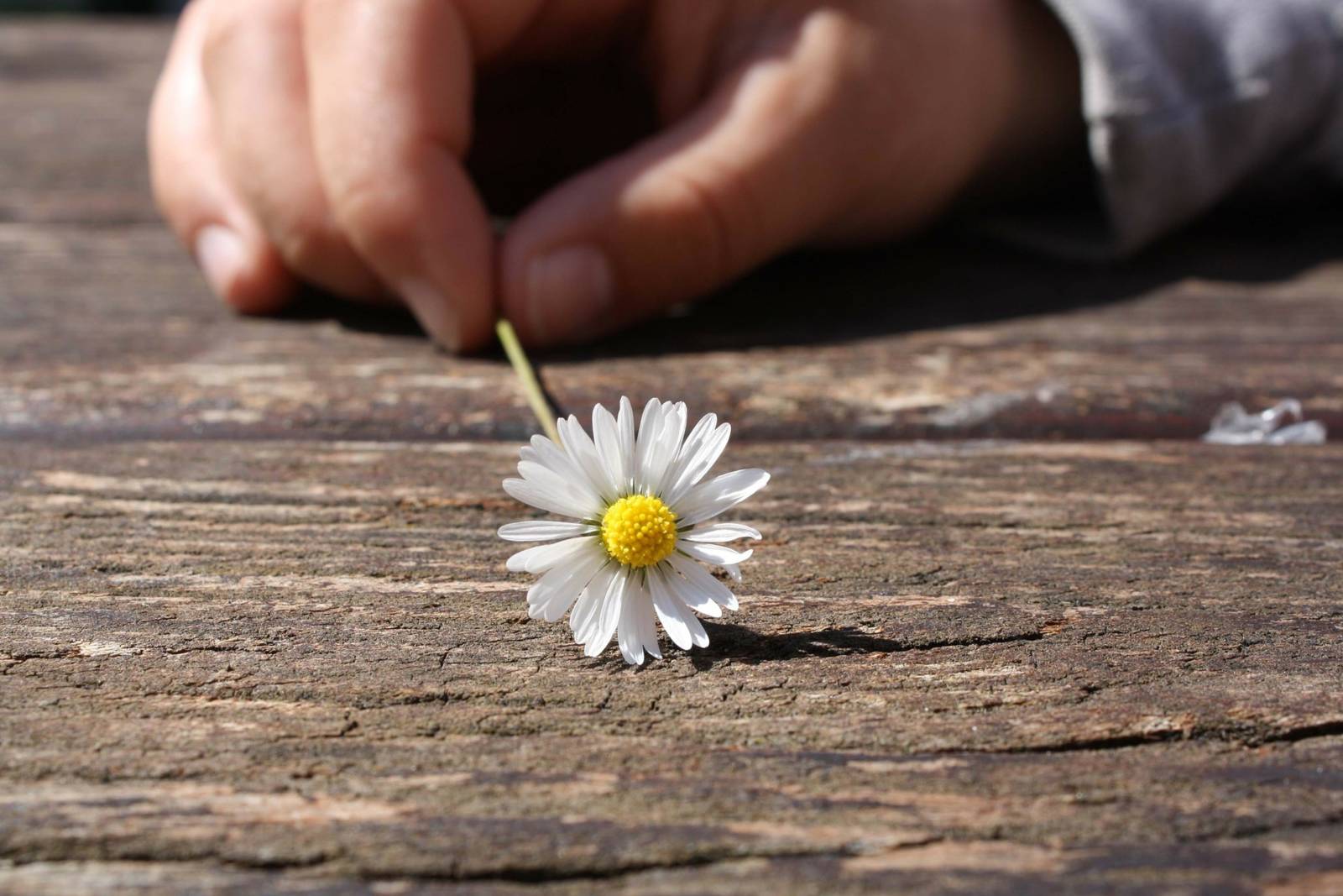 刑事開庭時，被害人保護與訴訟參與