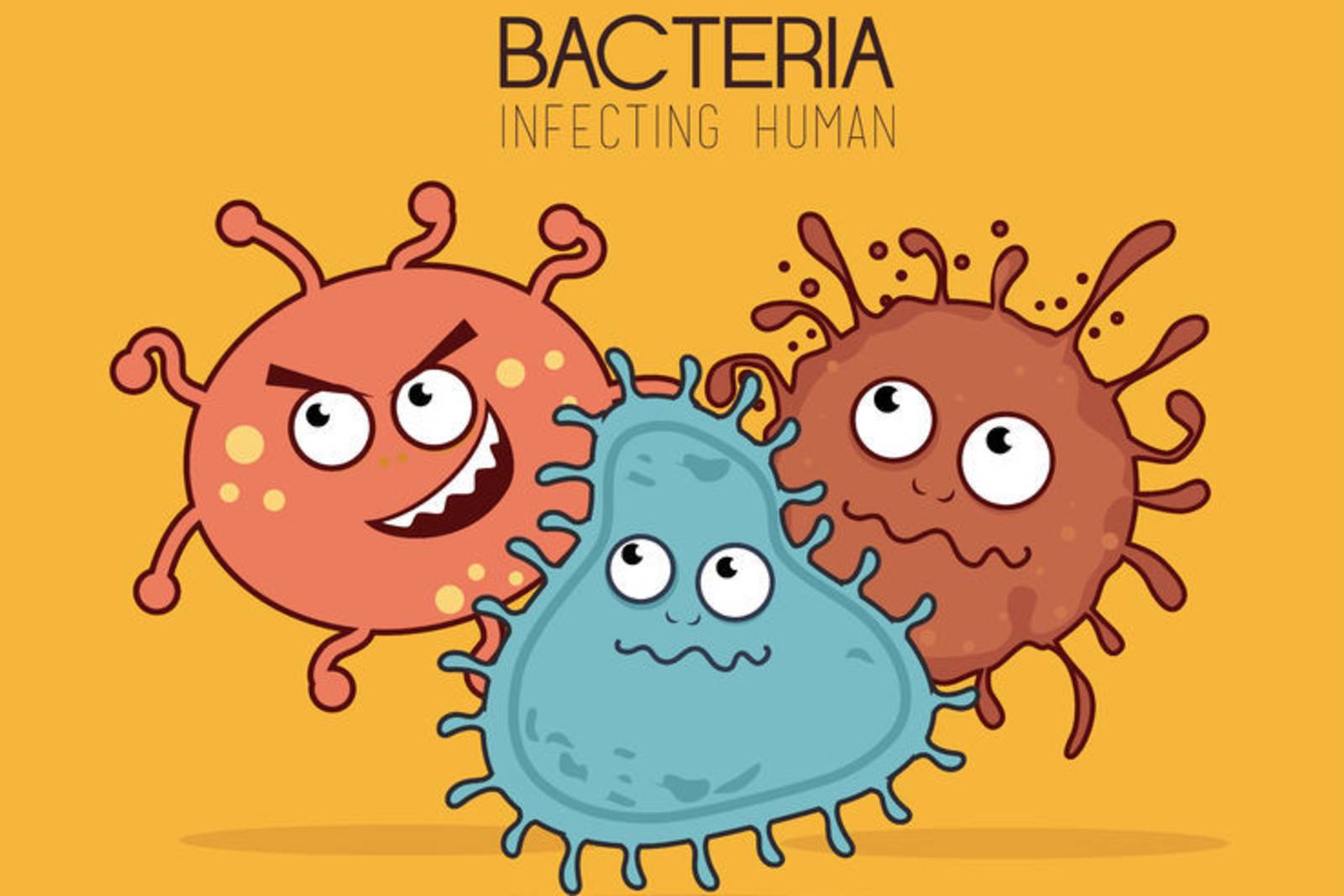 怎麼當隻壞細菌？