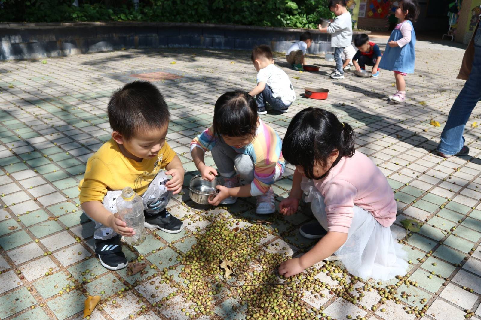 「 黃驪鳥非營利幼兒園學習區教案&幼兒園品質提升輔導計畫 」