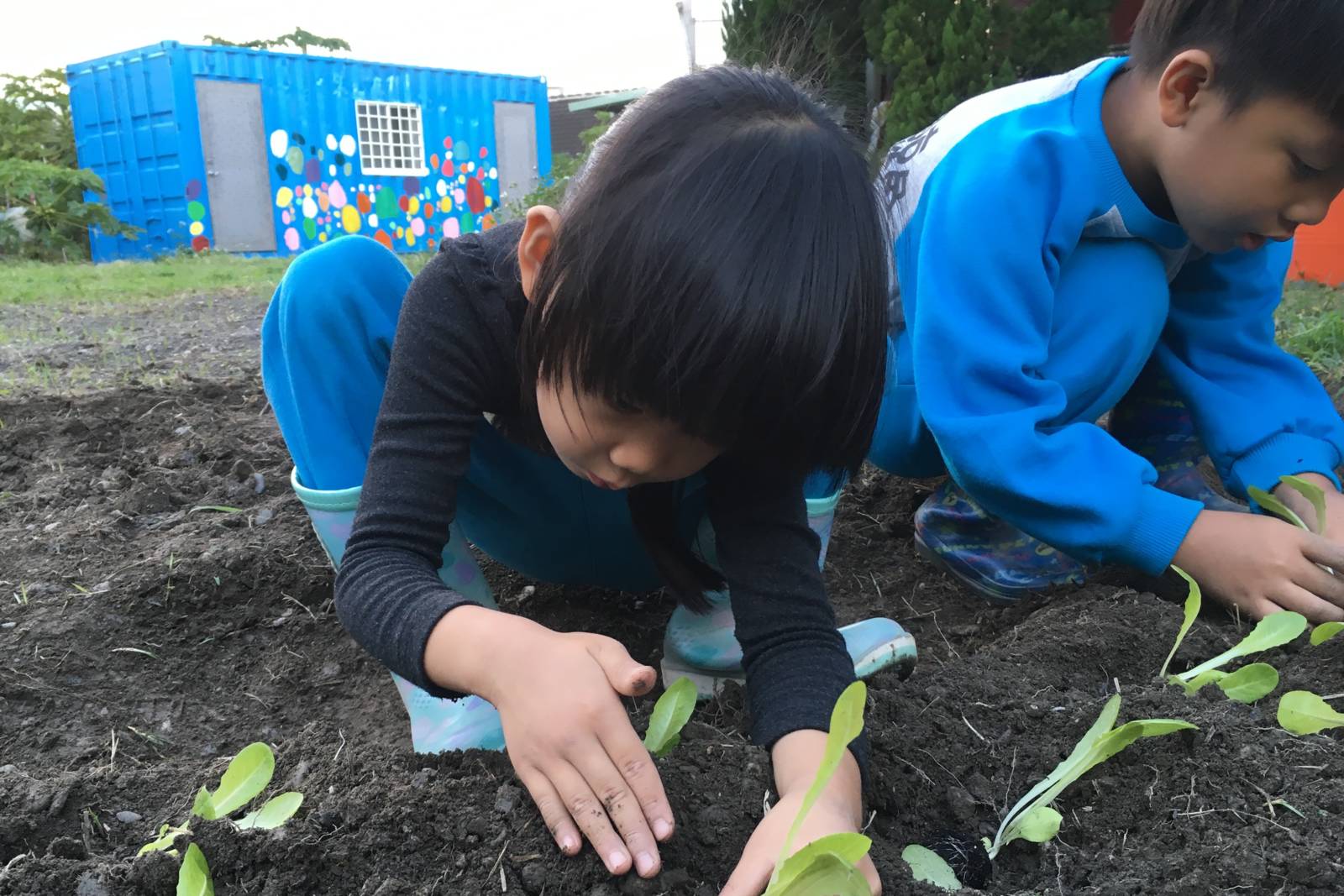 「小鯨魚非營利幼兒園『社區』教案 &幼兒園的社區課程設計」