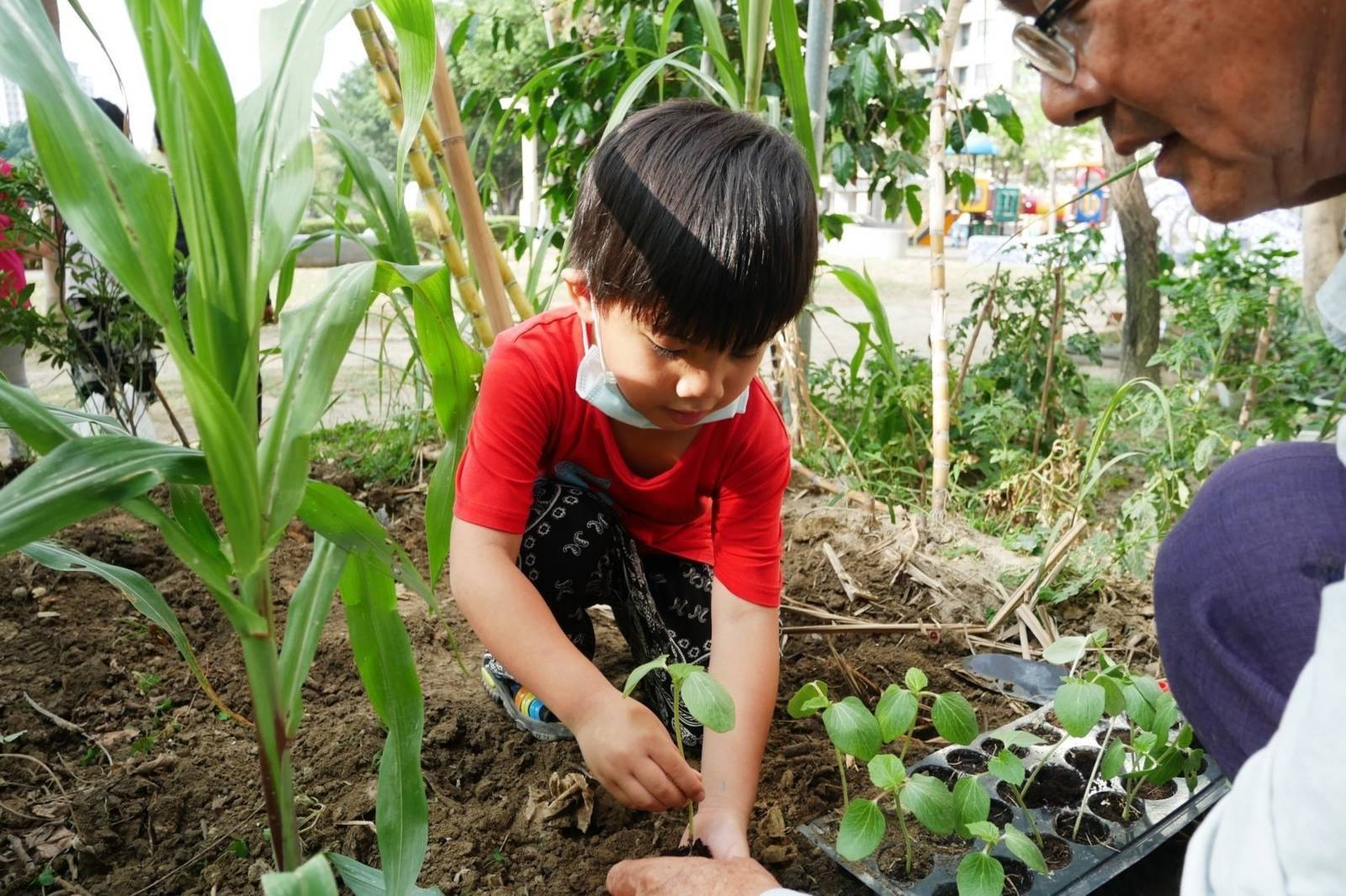 「關愛社區從小開始&非營利幼兒園品管有一套」