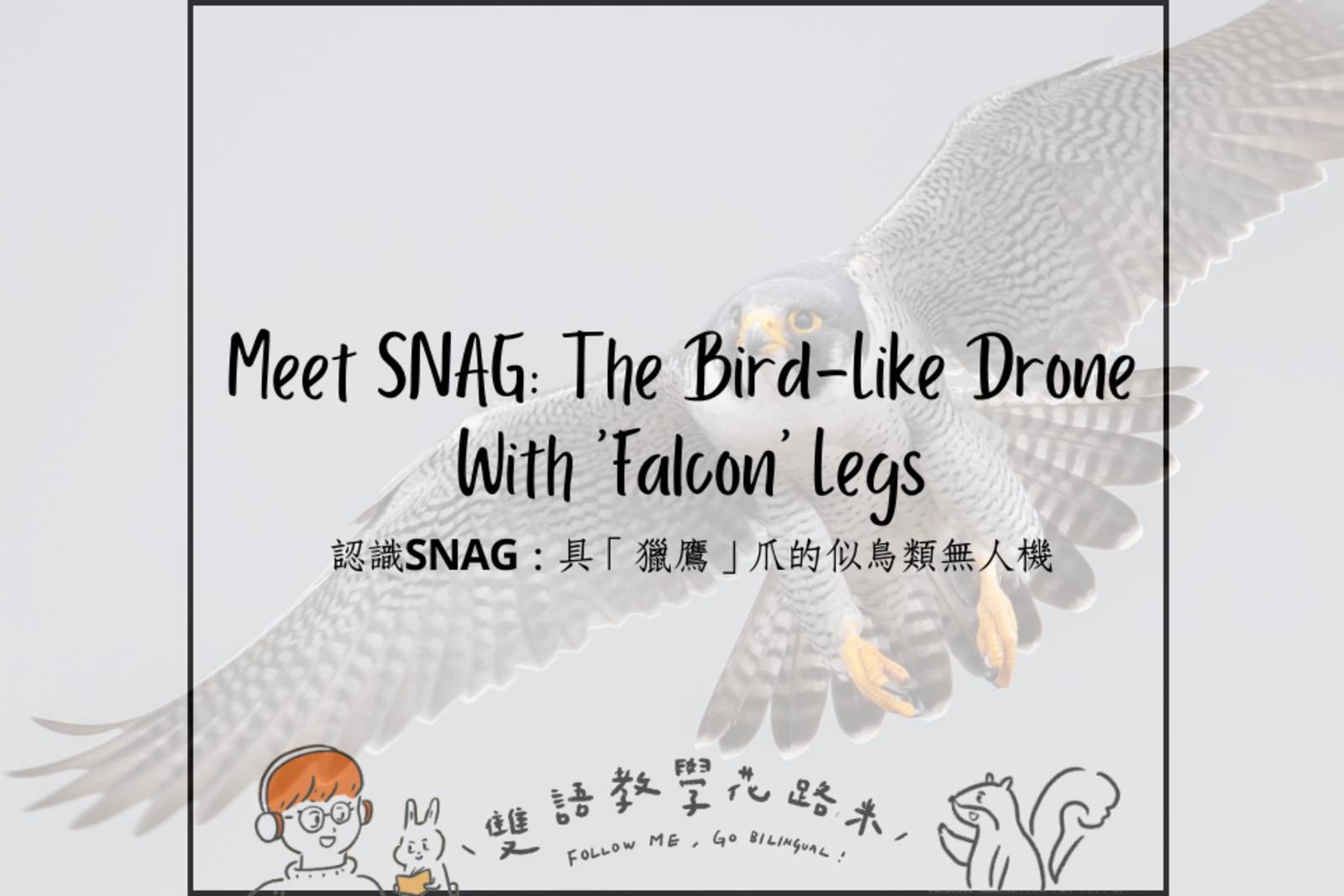 Meet SNAG: The Bird-Like Drone With 'Falcon' Legs 認識SNAG：具「獵鷹」爪的似鳥類無人機 ...