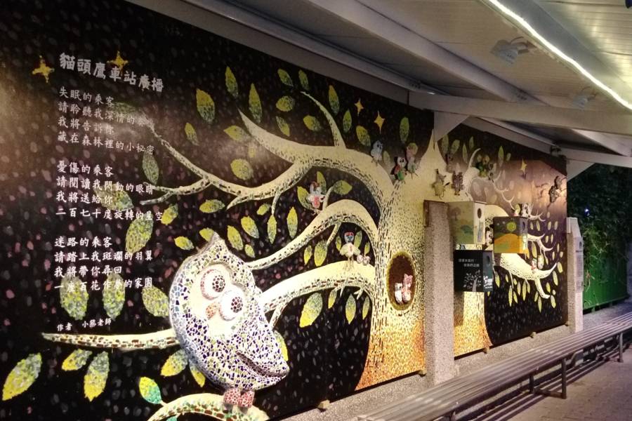 到台中城南拜訪貓頭鷹的家