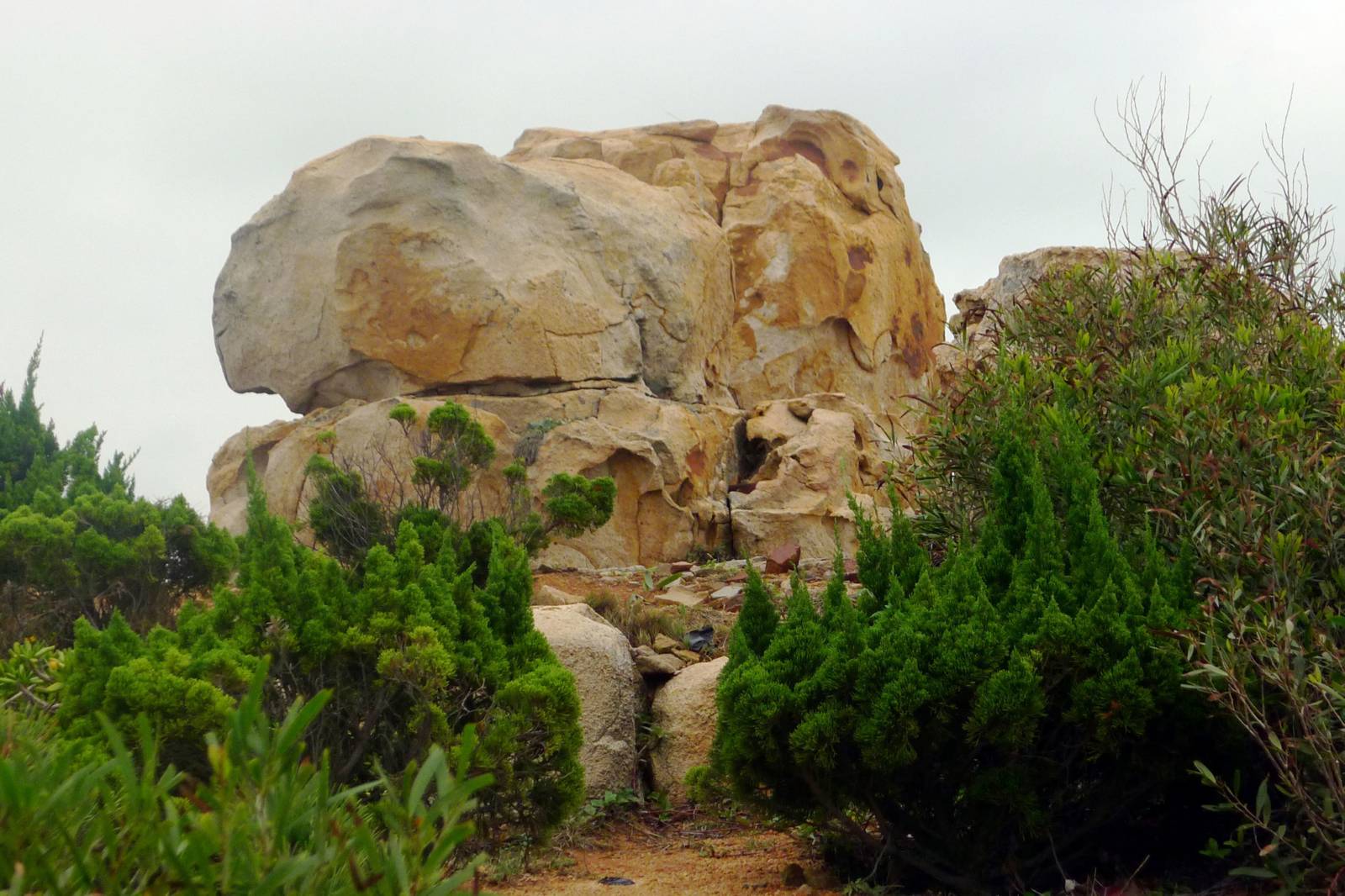 謝昭華＜《島居》節錄＞