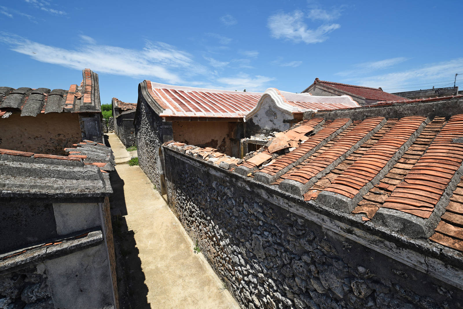 蔡宛璇＜母親島＞