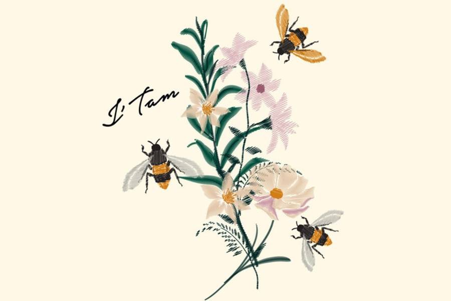 搶救蜜蜂大作戰