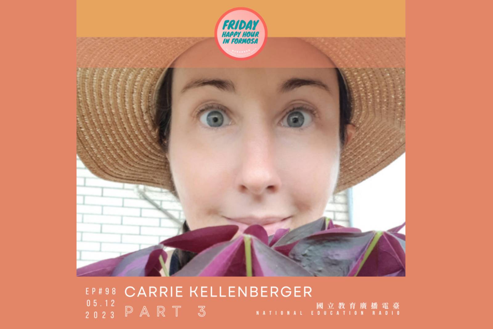 My Several Worlds 的慢性疾病及殘疾倡導者 Carrie Kellenberger - Part 3 * Disability Advocate Carrie Kellenberger of My Several Worlds - Part 13