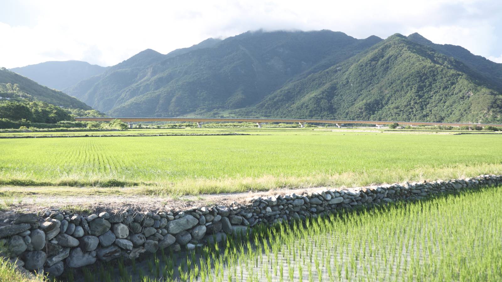 EP30-永續農業，好未來：從餐桌開始｜餐桌遊寶島
