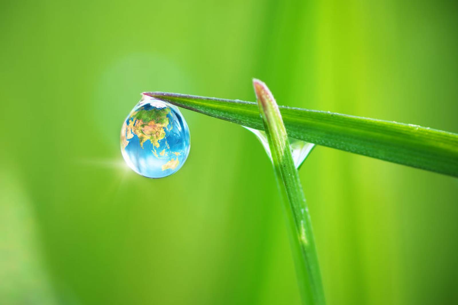 A small talk – Water conservation (節約用水)