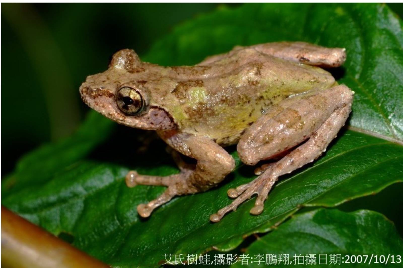 故事寶盒：艾爸爸求雨記