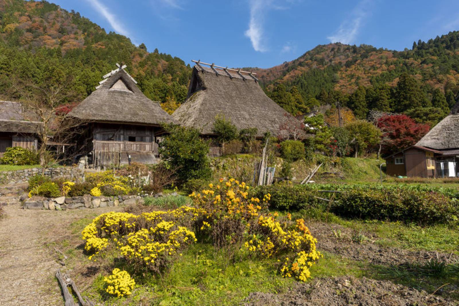 聽見里山系列第六集-聽見望美