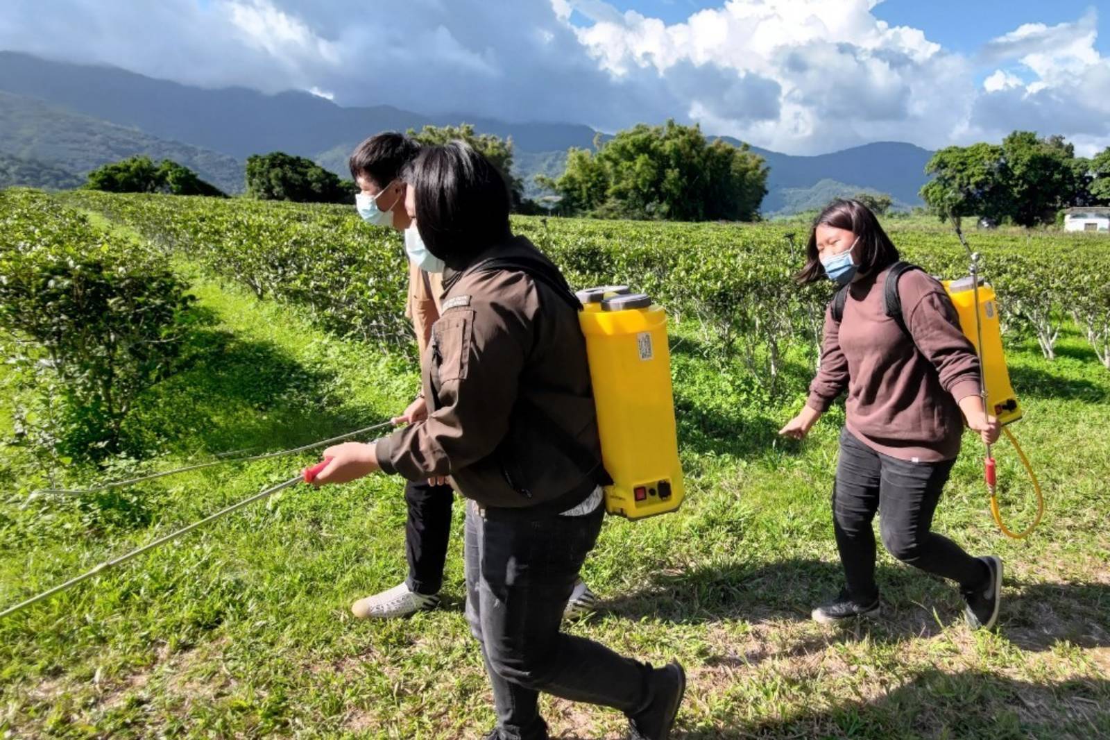  臺東專校學子、青農互惠共學