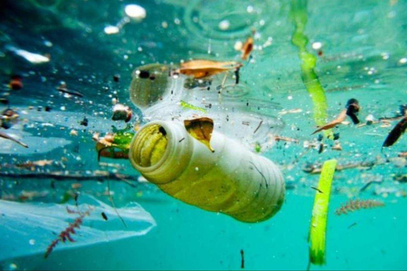海洋廢棄物漂流追蹤研究