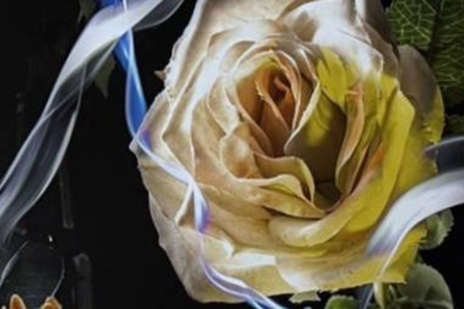 國際展能節：攝影裡的人生修練