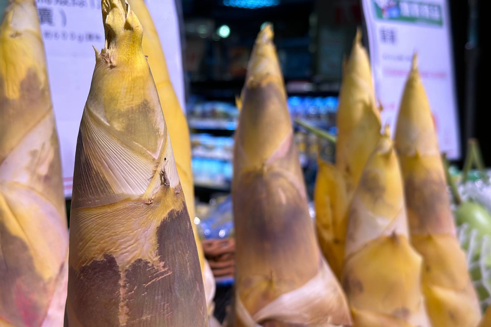 植物需要的營養談施肥