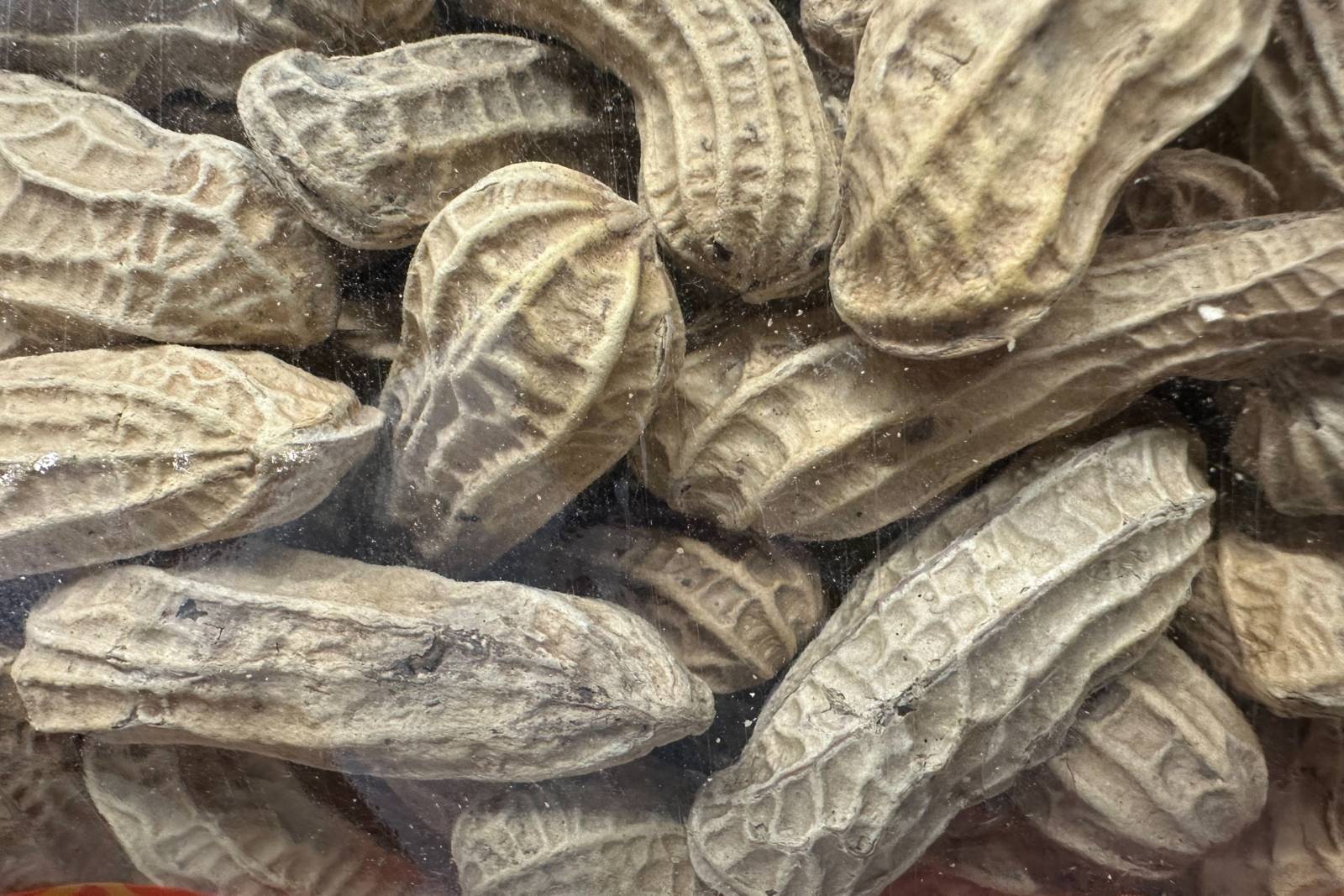 可怕的黃麴毒素