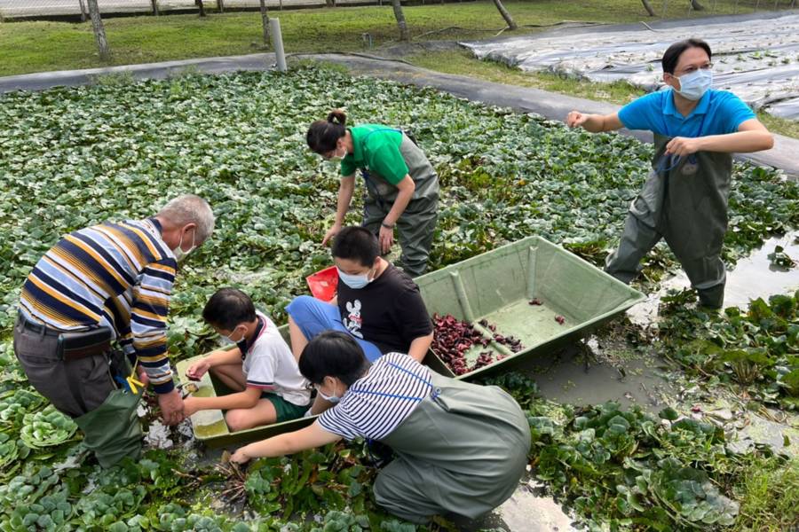 餐盤上的公民課