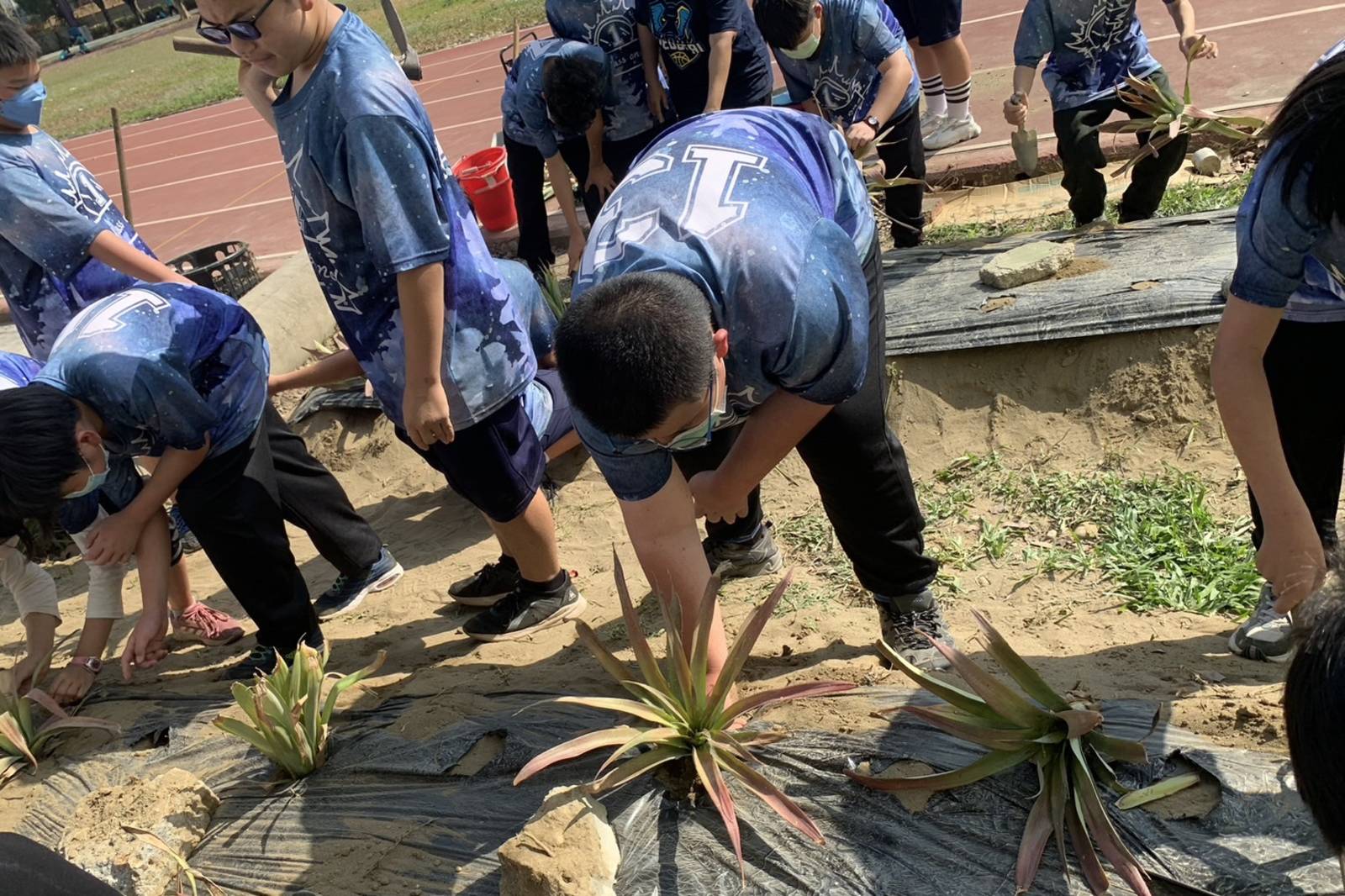 跟著農夫下田趣-2幫鳳梨搬家