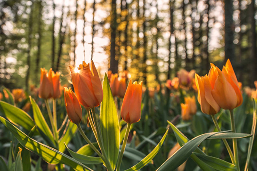 全球華文永續報導獎 2022-2023