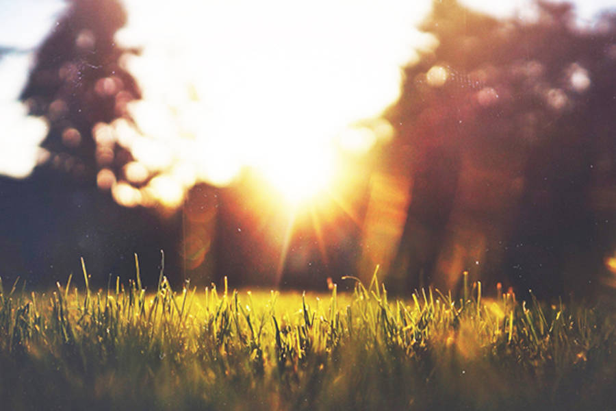 社會光明面新聞報導獎 2022-2023