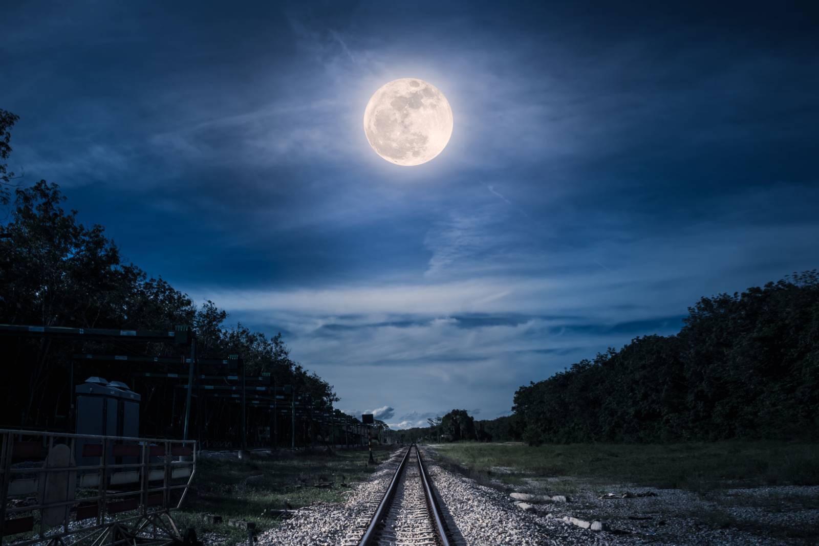 What are you doing for Mid-Autumn Festival? 你中秋節要幹嘛