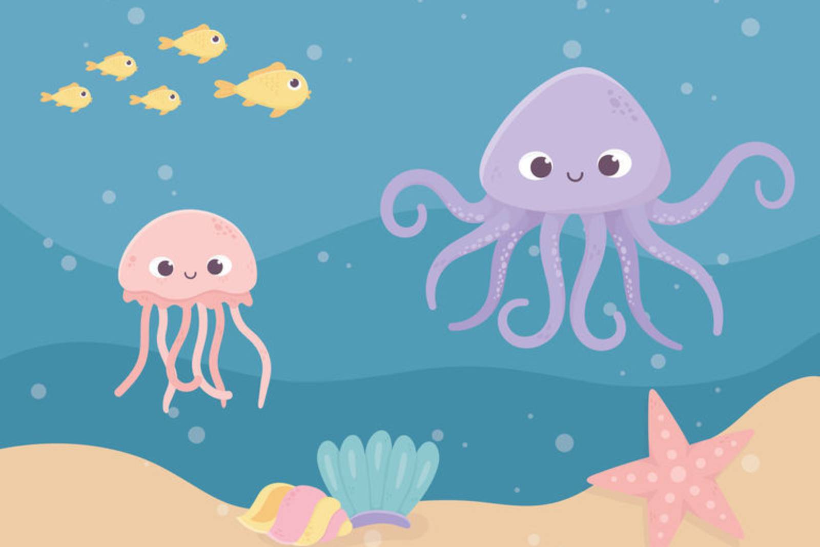 咦？到底是不是魚？