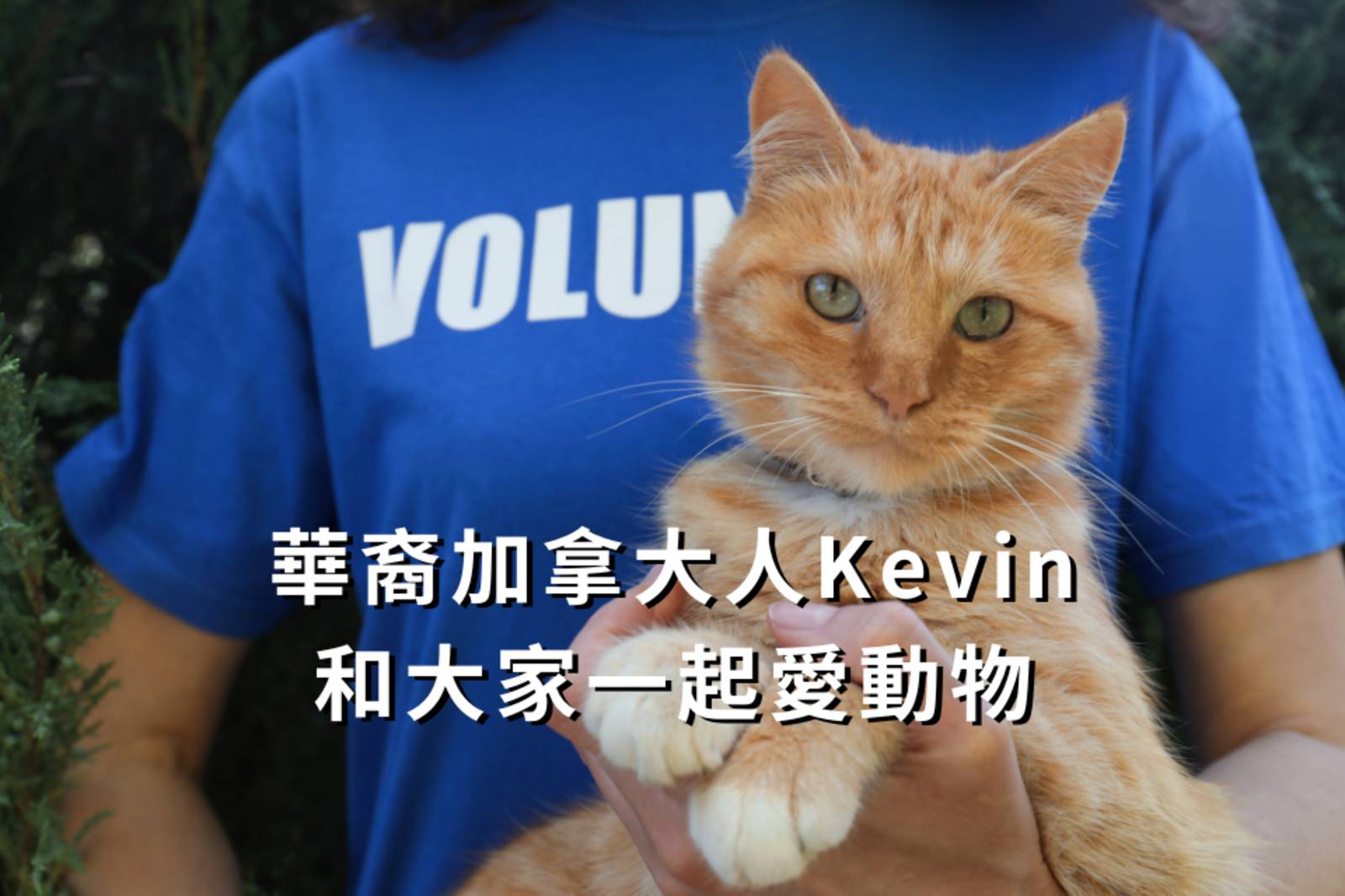 華裔加拿大人Kevin和大家一起愛動物