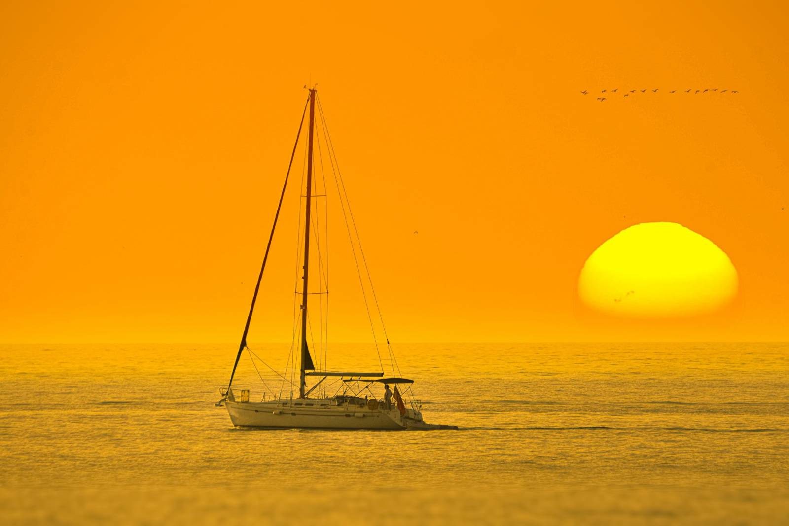 大航海時代的小人物-阿春佮莎拉-2