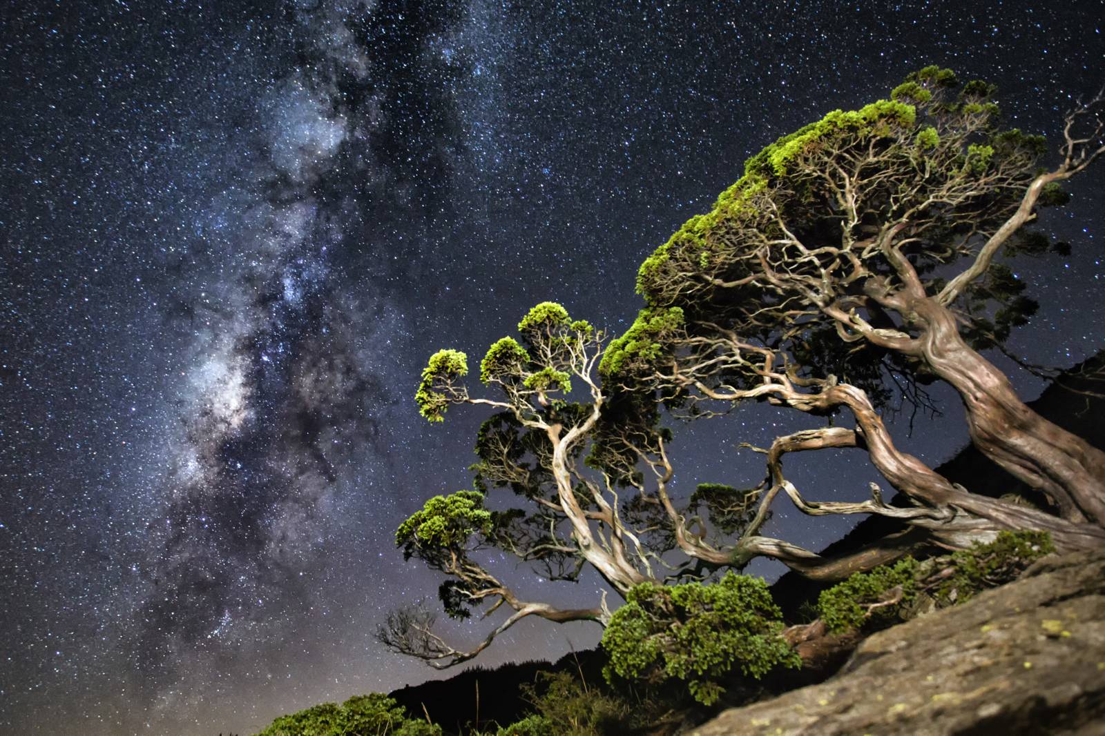 樂旅南投自在遊