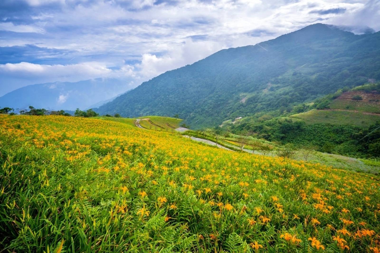 歡喜遊臺灣～臺灣風景最讚！