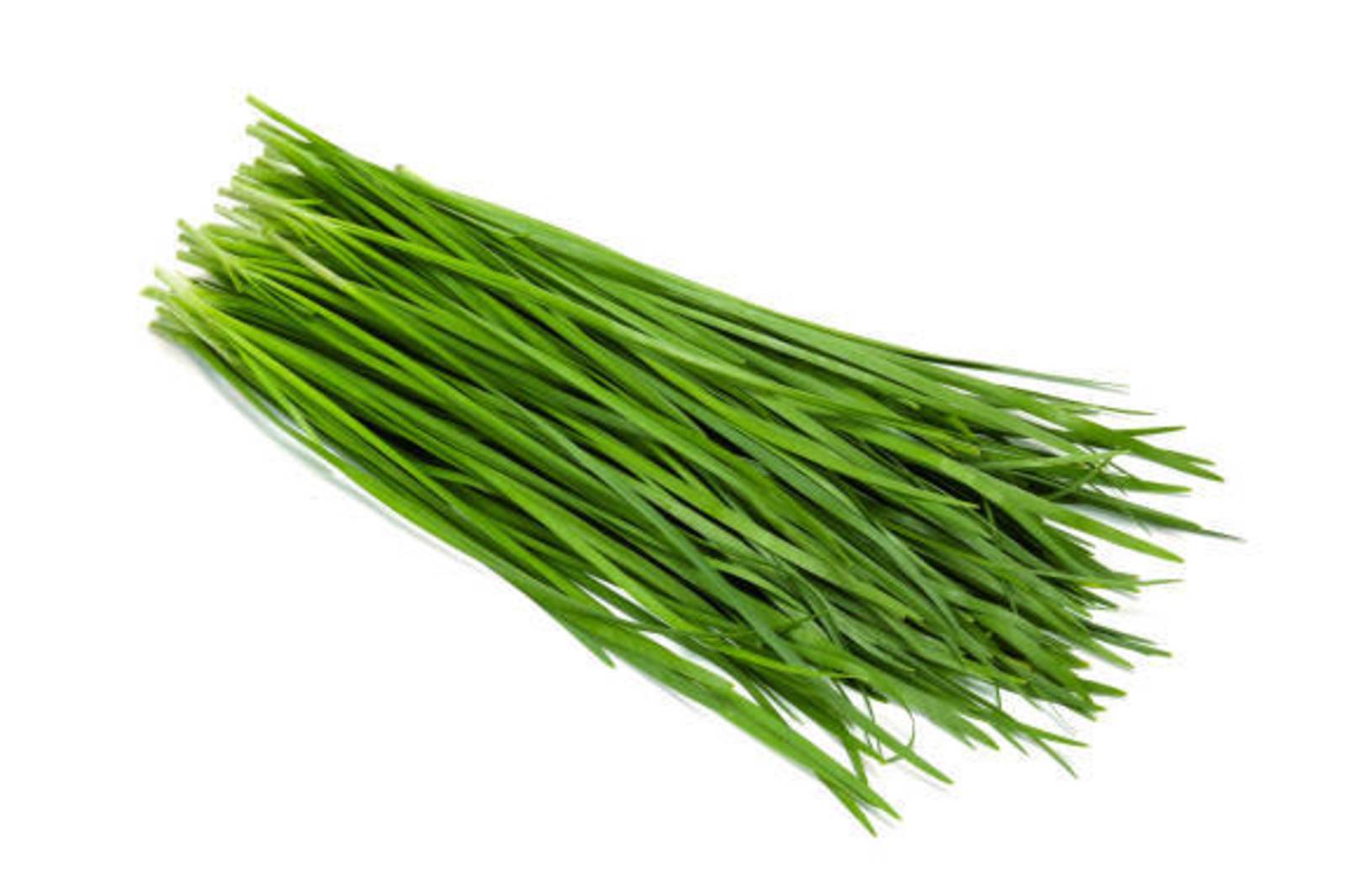 大鮕鮐炒韭菜～不是大塊呆！