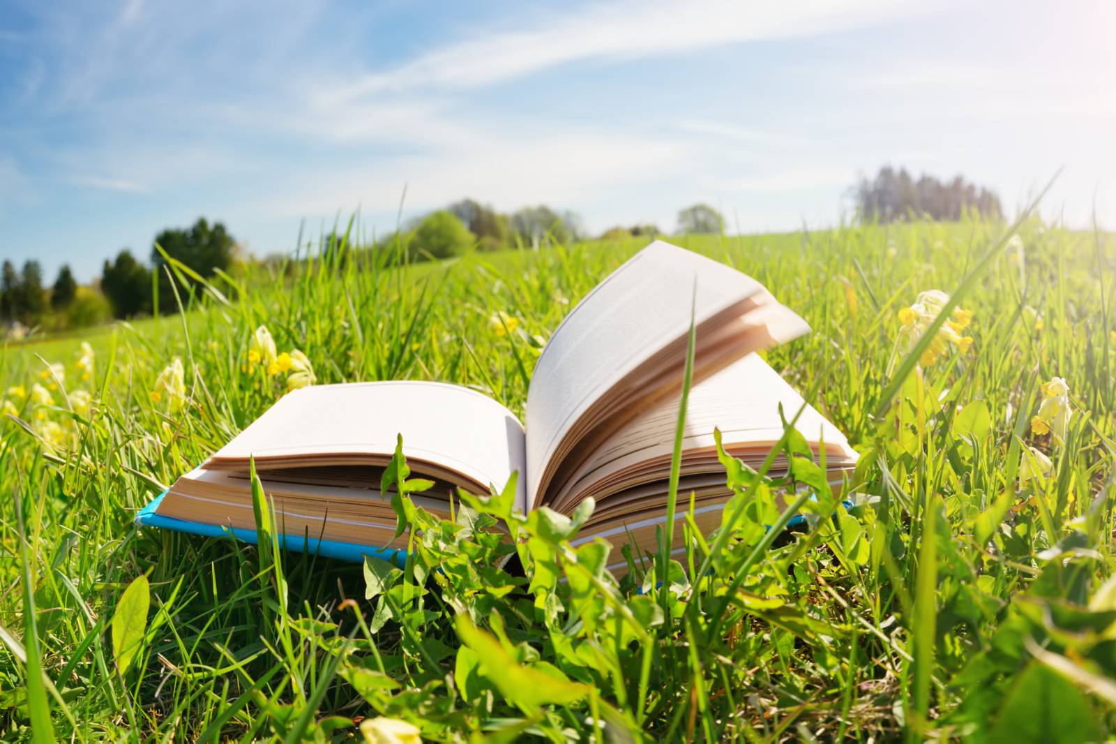 解析 國際閱讀素養調查研究報告 PIRLS