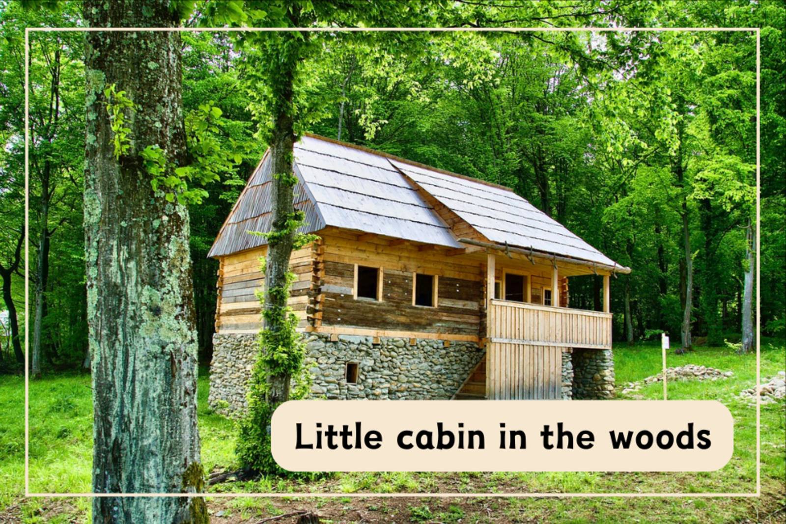 Little cabin in the woods