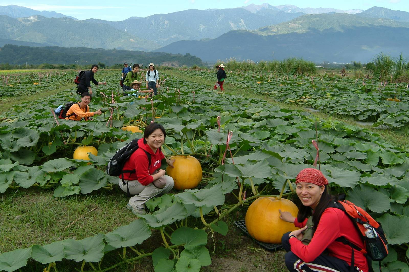 花東浪遊與在地生活