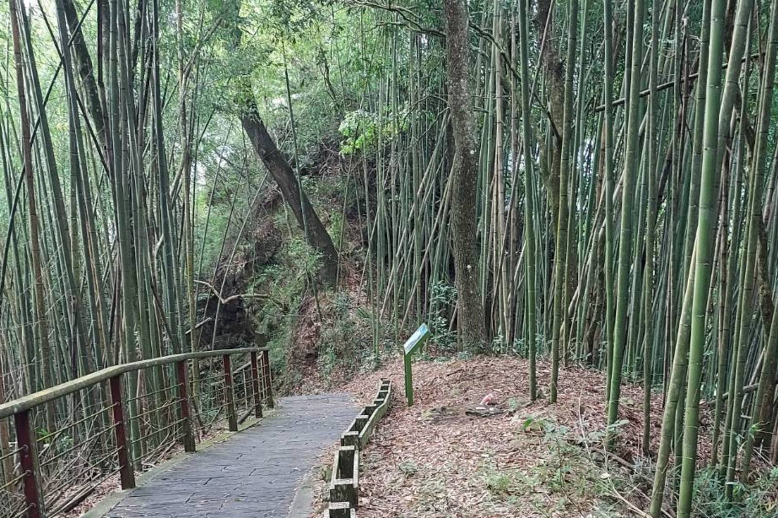阿里山，特富野步道。達邦、特富野之間的部落