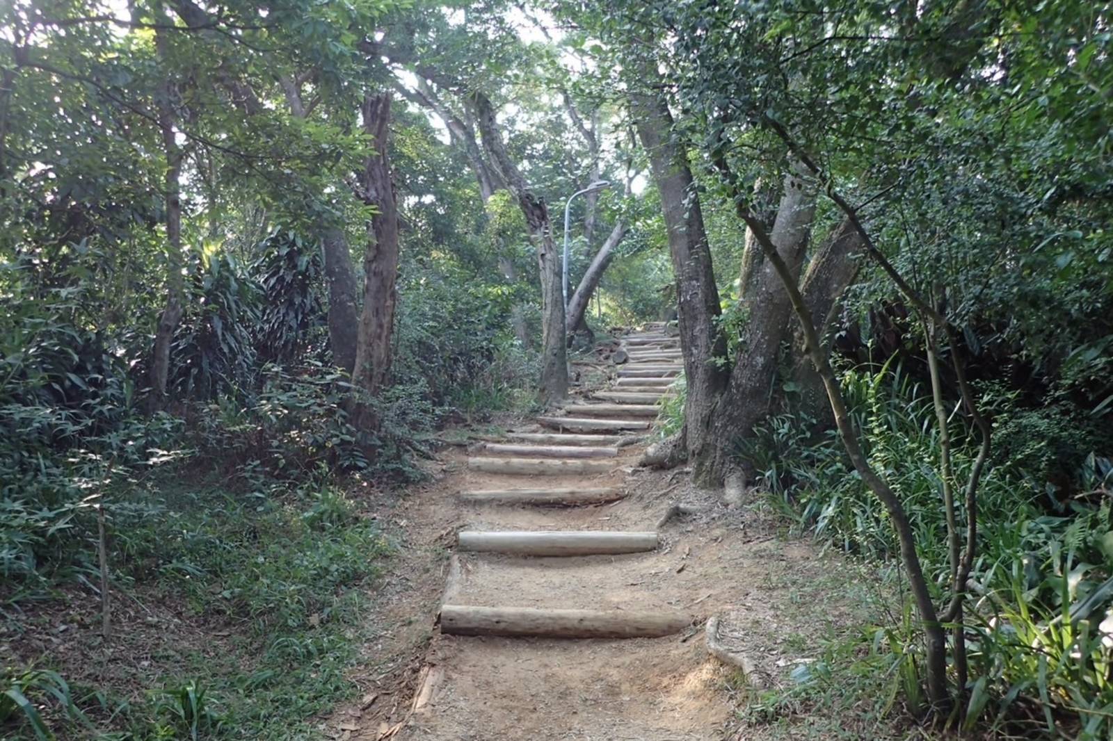 步旅城南綠美學