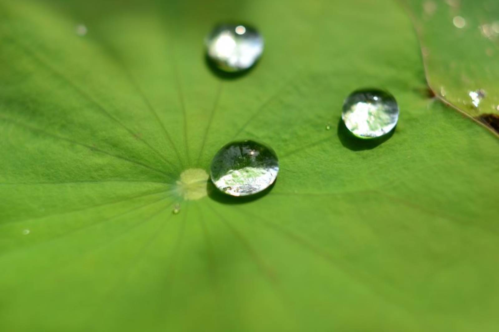 30.SDGs9建設：繪本《你沒想過的仿生學》