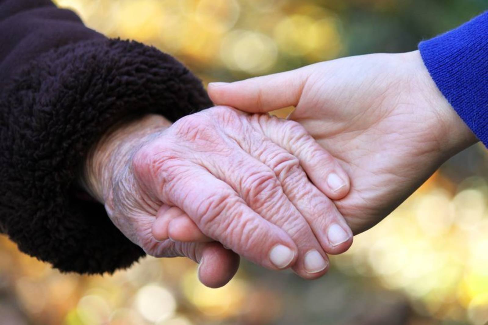 40.SDGs2 飢餓：跟著銀色大門一起消除飢餓