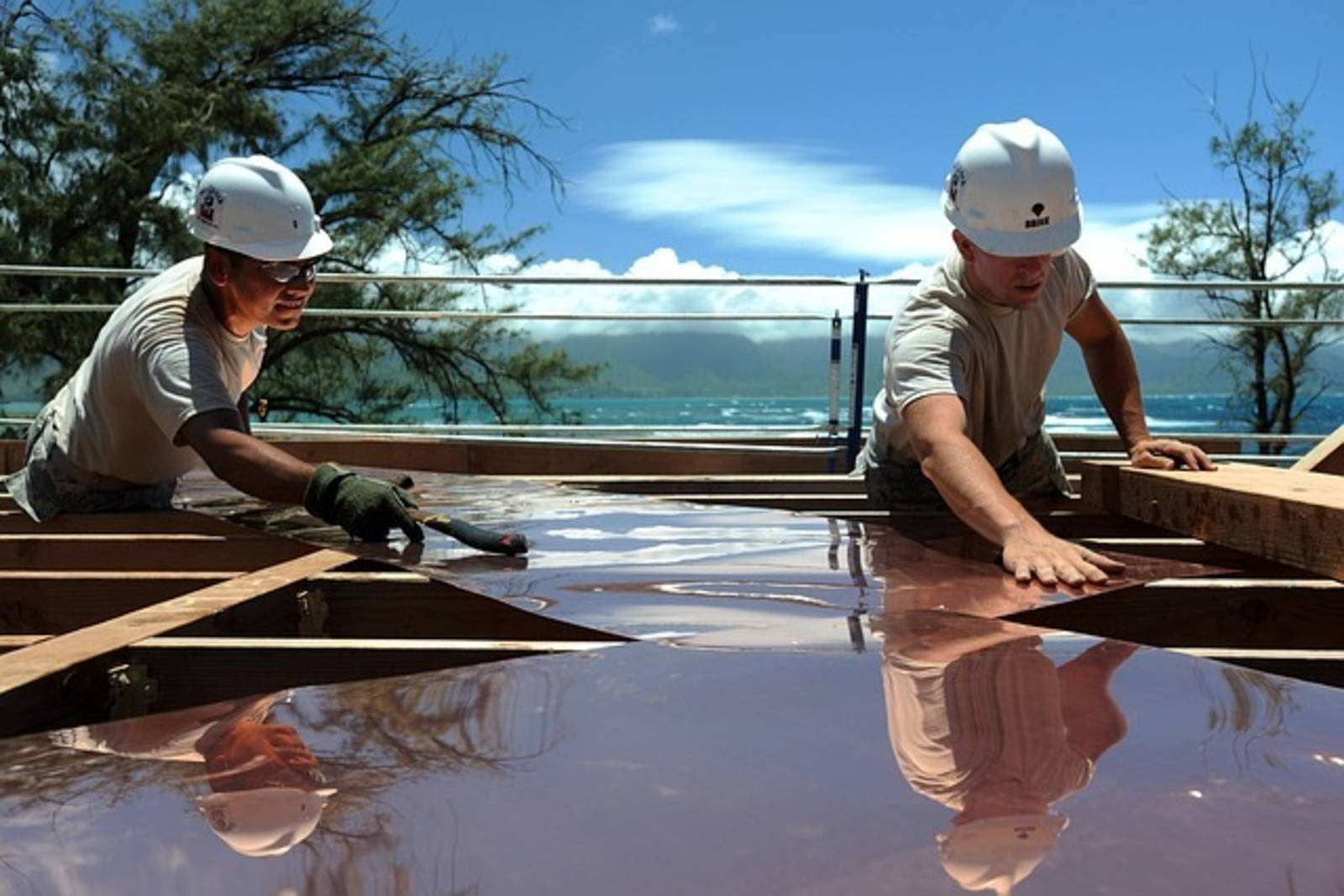 My Labor Rights  (我的勞工權益)